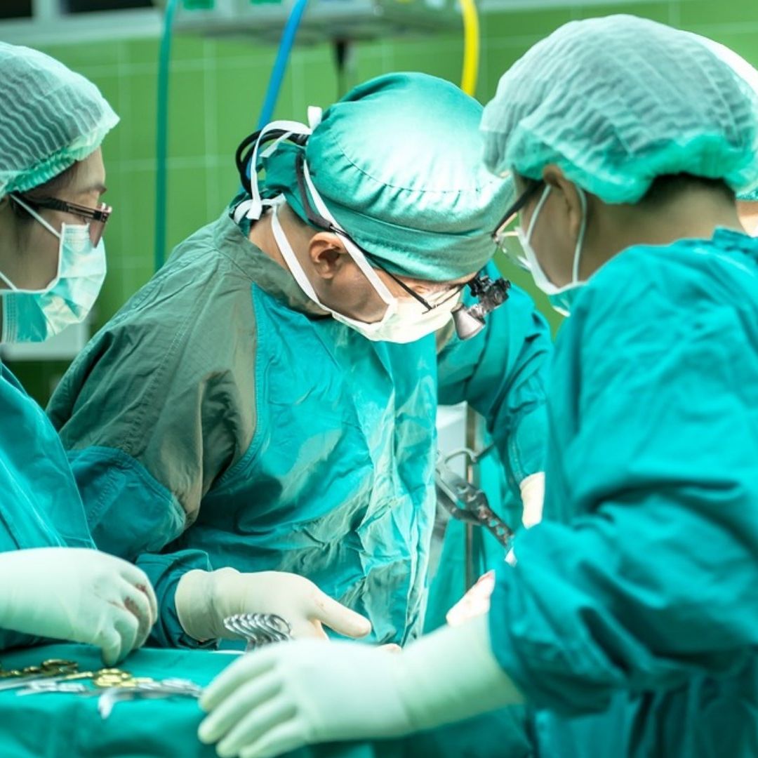 Médicos chinos lograron trasplantar con éxito otro riñón de cerdo sometido a edición genética múltiple al cuerpo de una persona en estado de muerte cerebral