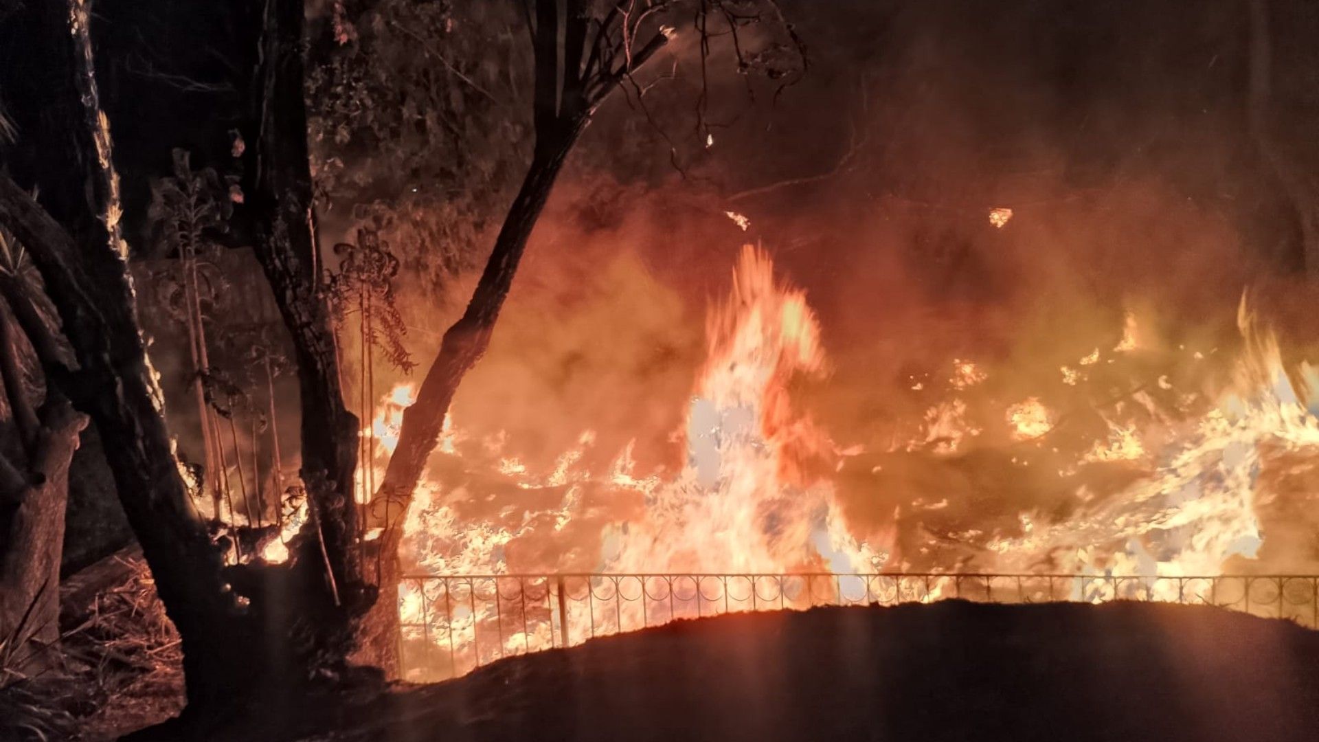 Incendio de Basura en Parque Lira Provoca Movilización de Cuerpos de Emergencia