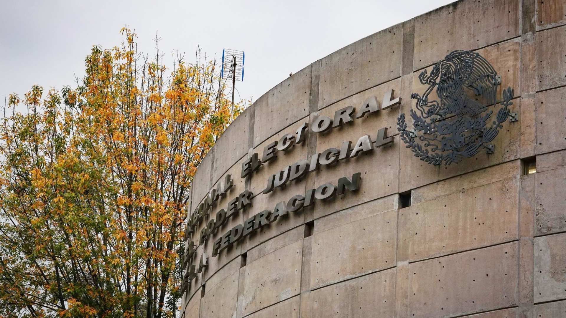 Asesinan a Dos Empleados del TEPJF en Xochimilco; Tribunal Estará Atento a Indagatorias