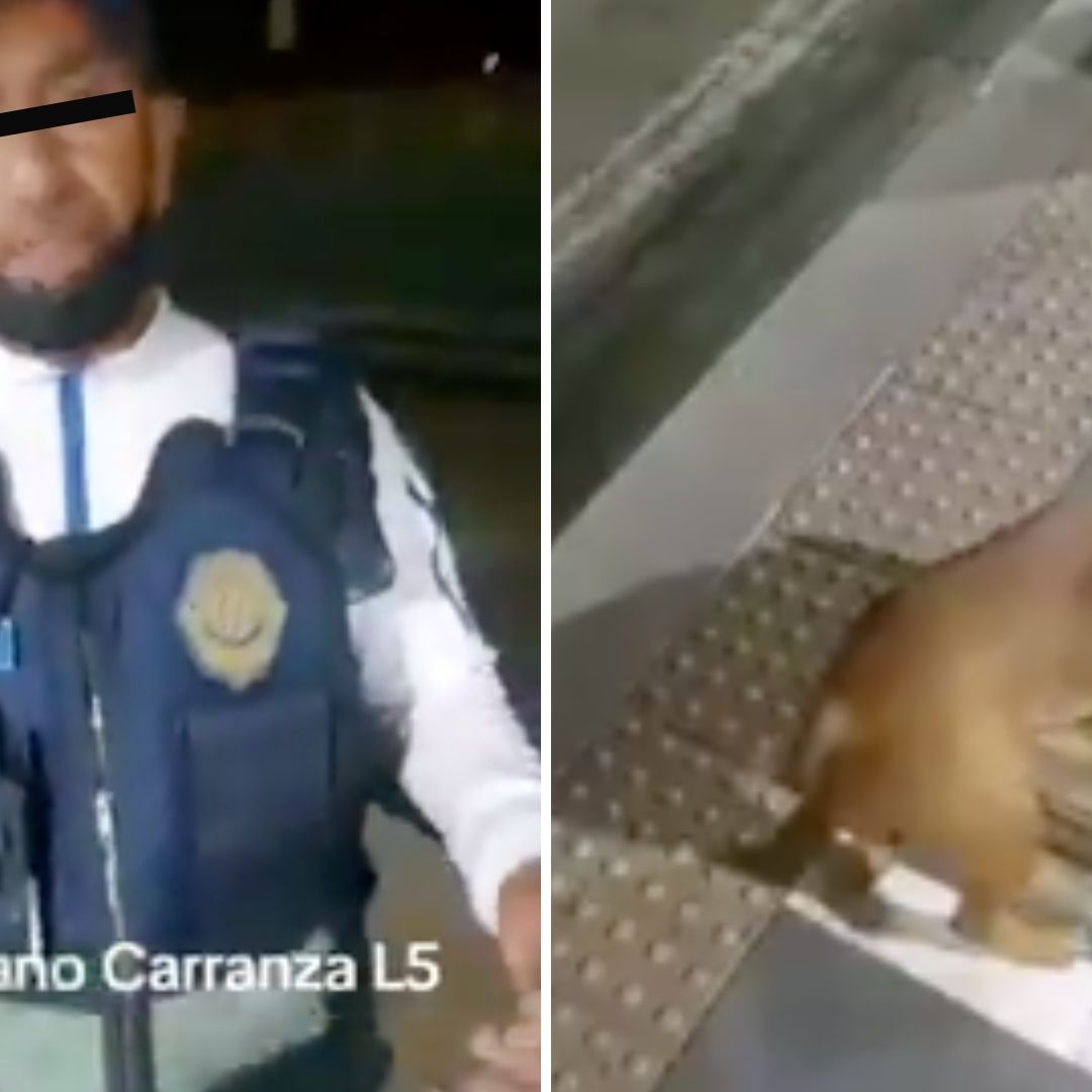 Video: Policía Intenta a Sacar a Palazos a Perrito en Estación de Metrobús Venustiano Carranza