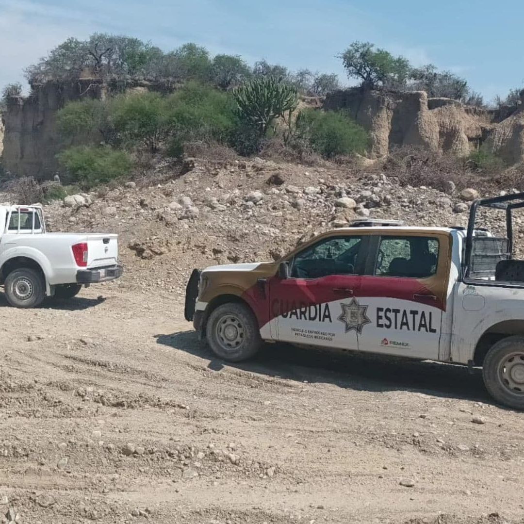 Encuentran Restos de Mamut en Tamaulipas