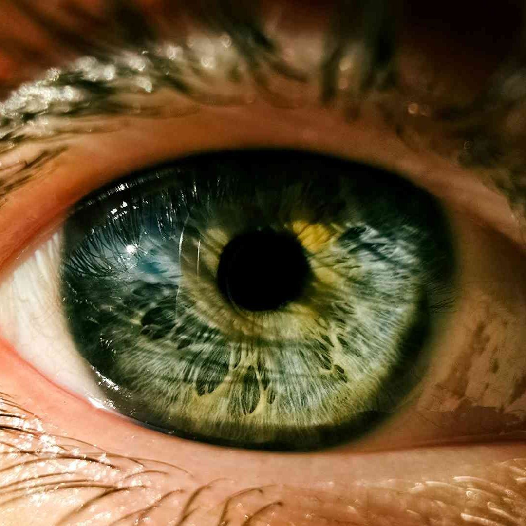 Descubren nuevo color