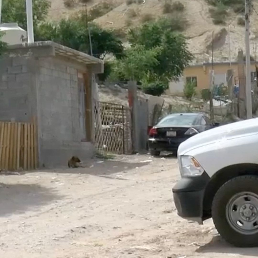 Realizan Juicio Oral Contra Pastora por Trata de Personas; Forzaba a Trabajar a Migrantes