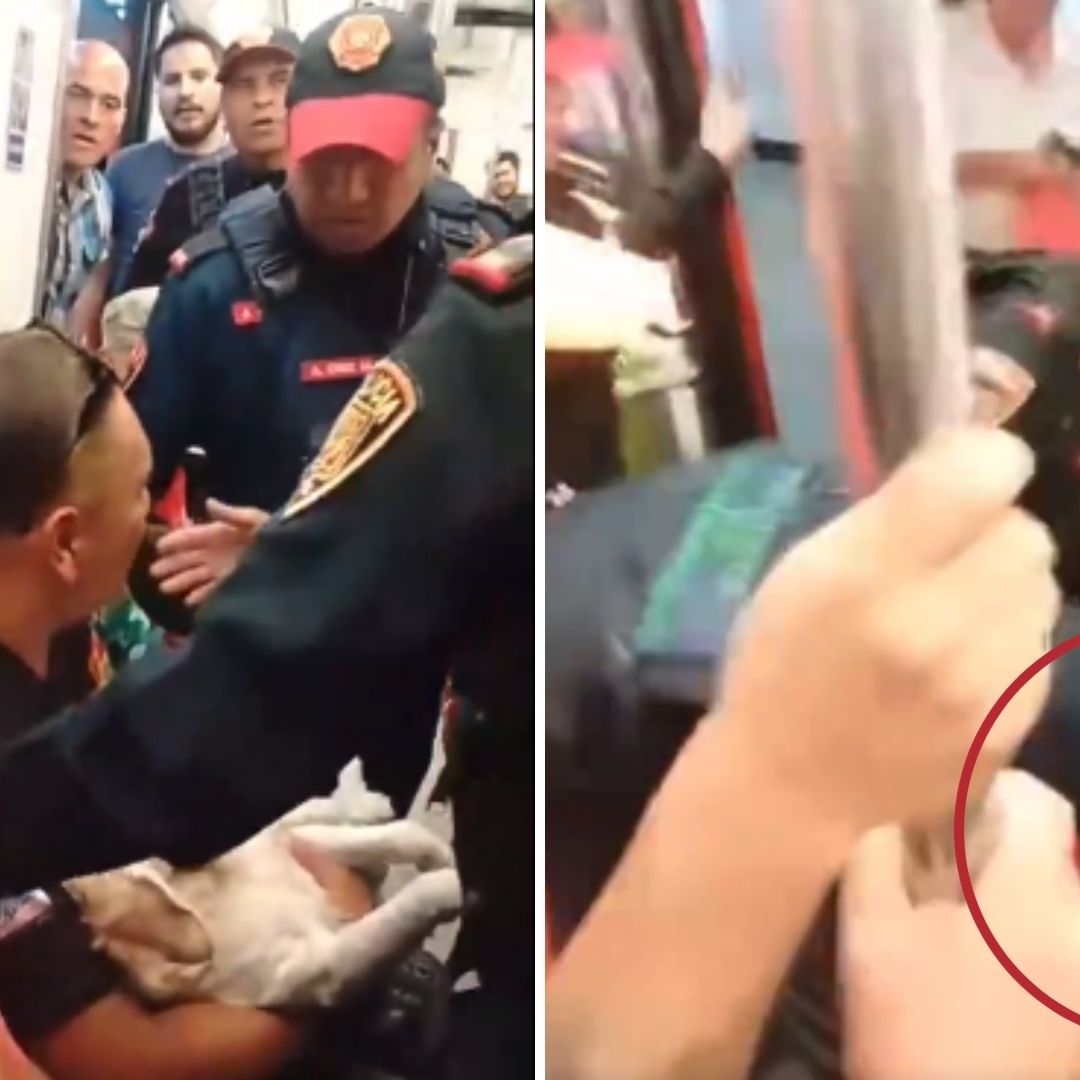 Policías Sacan a Pasajero con Perrito Herido del Metro CDMX