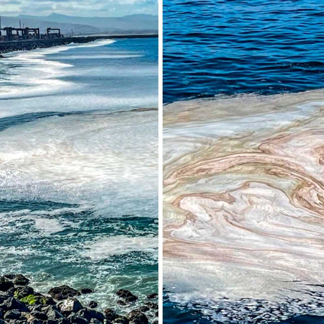 Espuma 'Sospechosa' Genera Alerta en Playa de Ensenada; Esto se Sabe