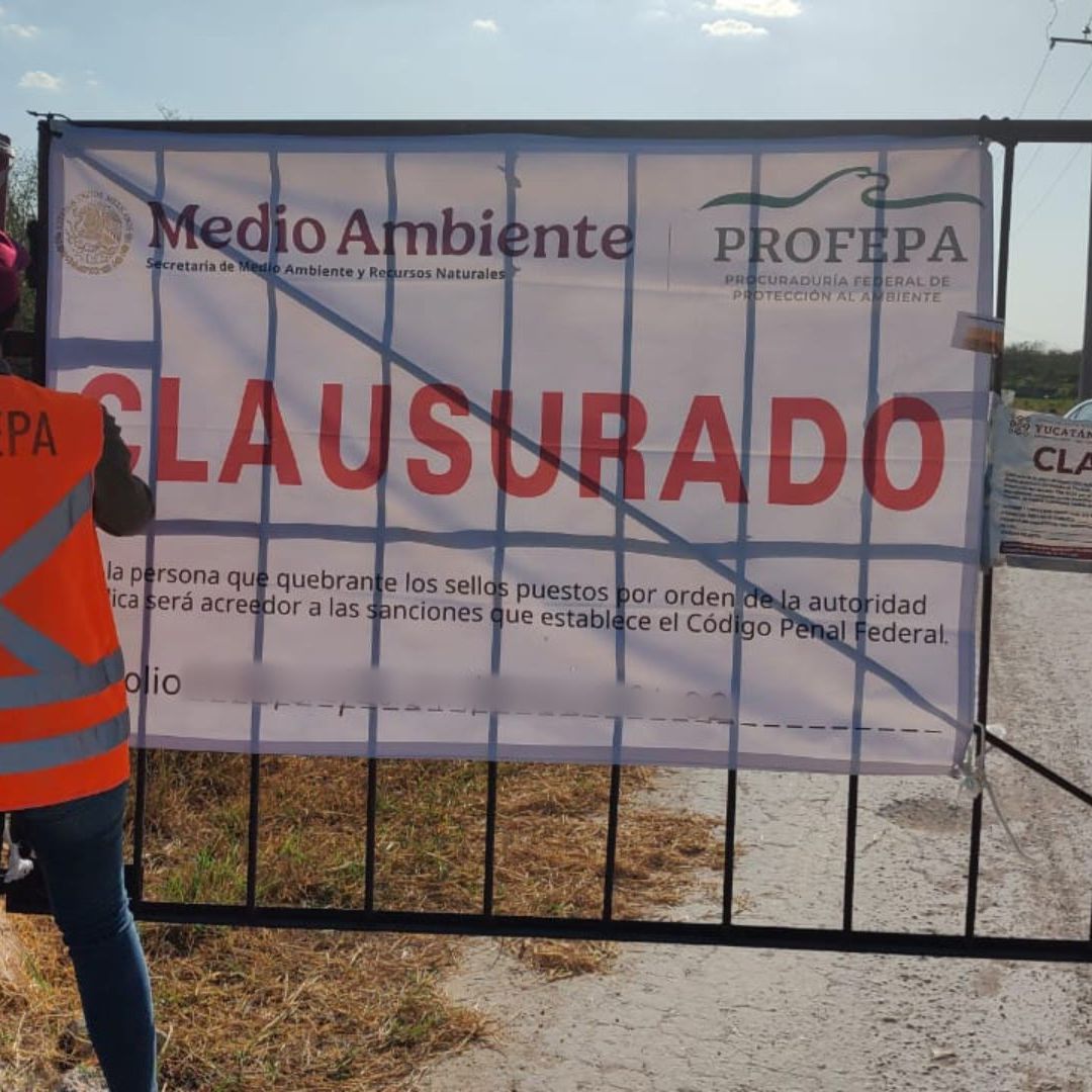 Momento en que personal de Profepa clausura mega granja porcina
