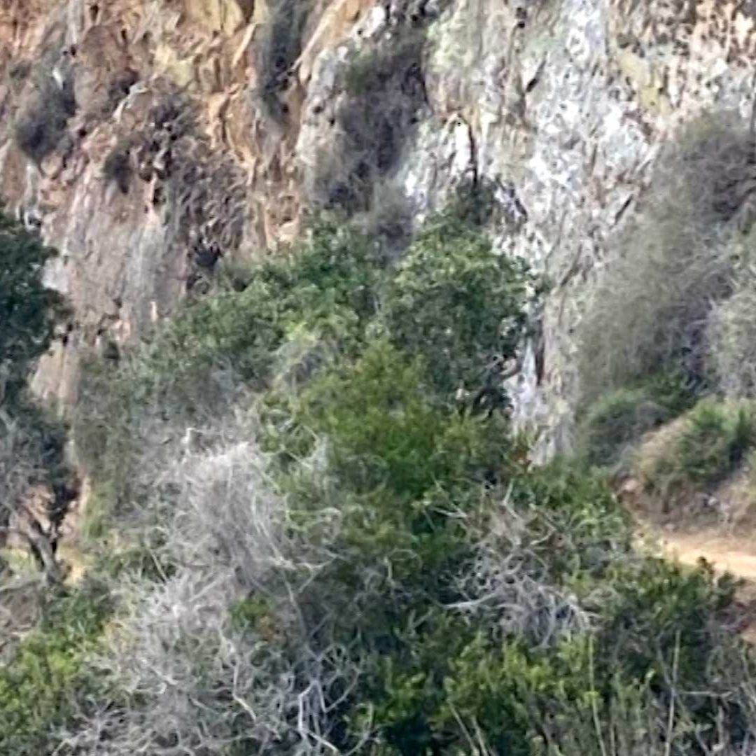 Hombre de la Tercera Edad Cae de Acantilado en La Bufadora