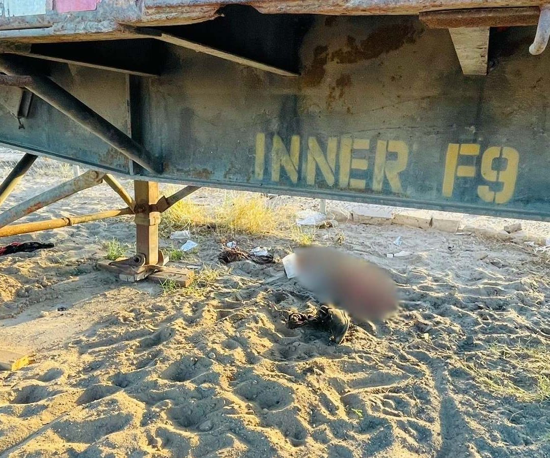 Muere Mujer tras ser Atacada por Perros en San Felipe, Baja California