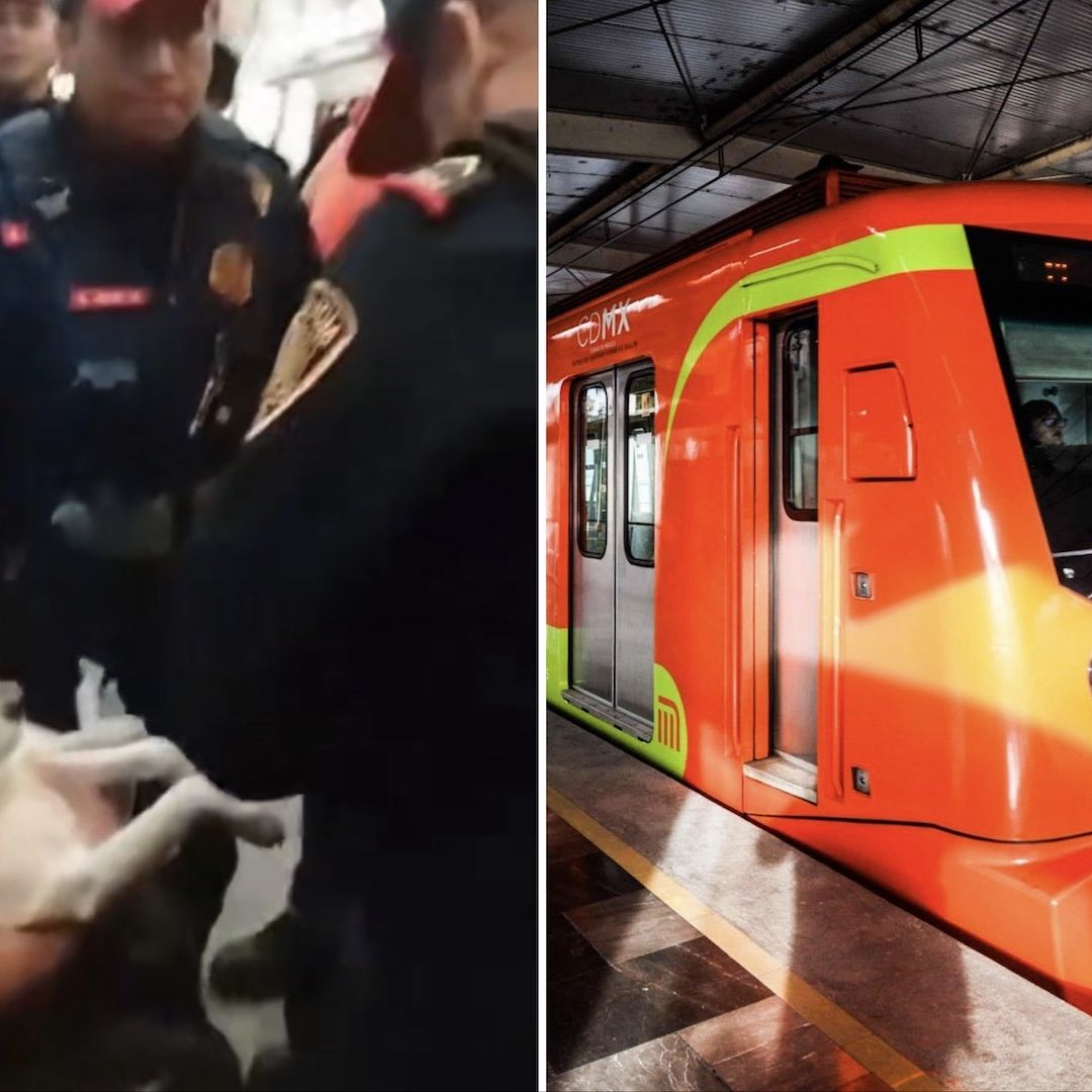 Metro culpa a pasajero que llevaba a su perro enfermo
