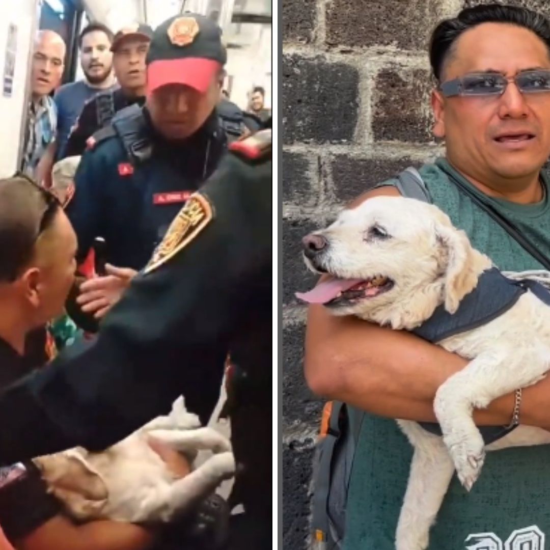 Esta es la Historia del Pasajero y el Perrito Desalojados del Metro CDMX