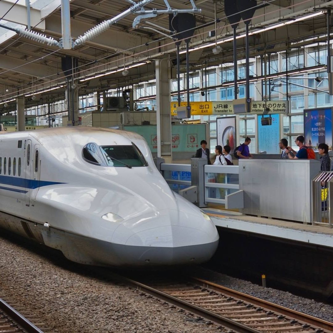 Serpiente Retrasa Trenes de Alta Velocidad en Japón