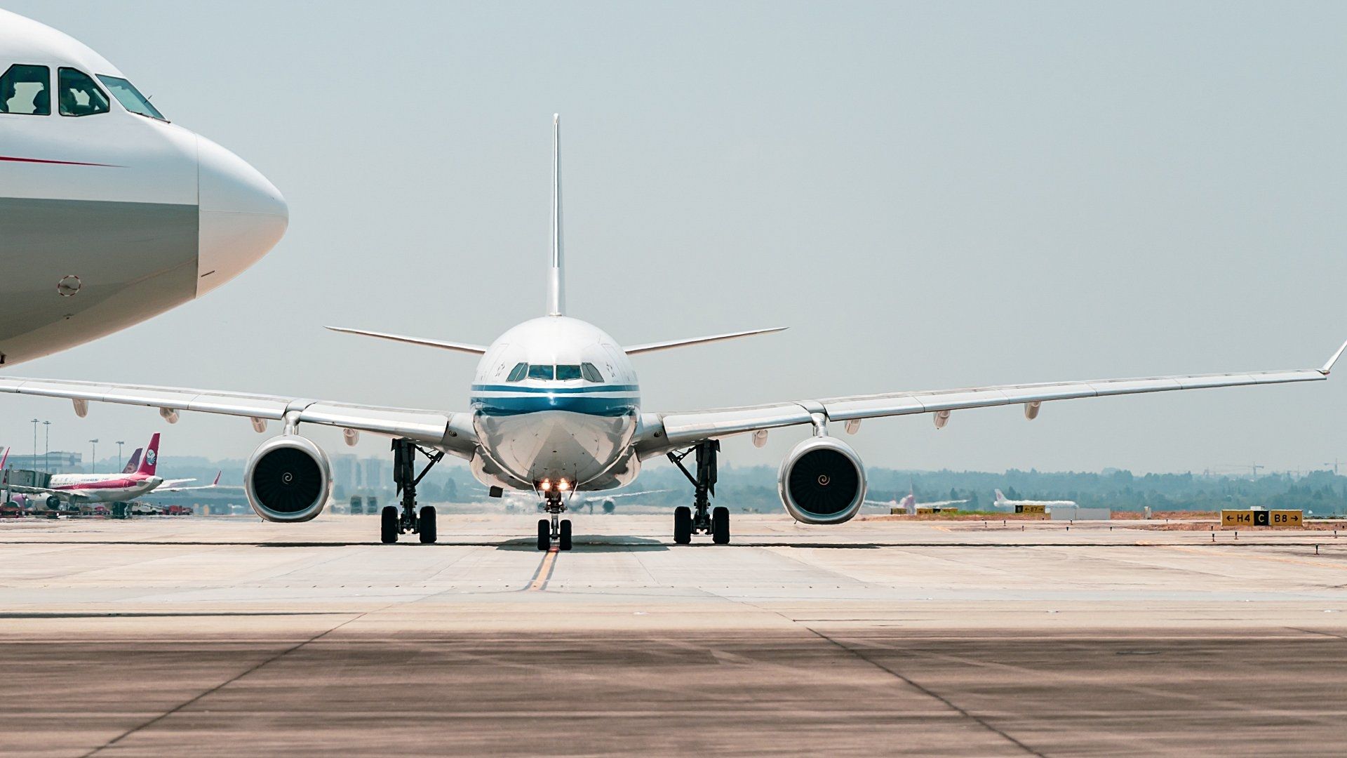 Avión Suspende Despegue Tras Chocar con Pájaros en Puerto Rico