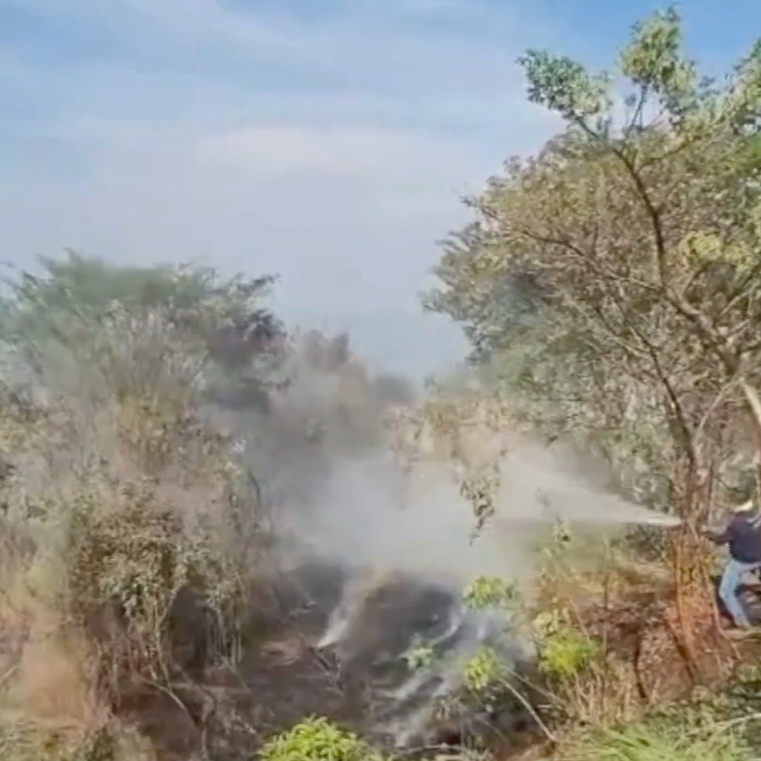 Se Registra Incendio de Pastizal en Carretera Xalapa-Alto Lucero