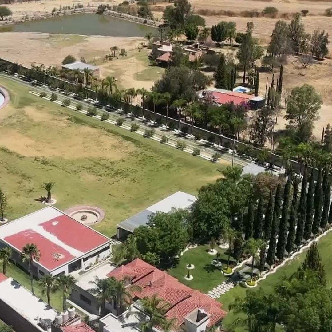 Aseguran lujoso rancho en Teocaltiche con aves exóticas en el interior.