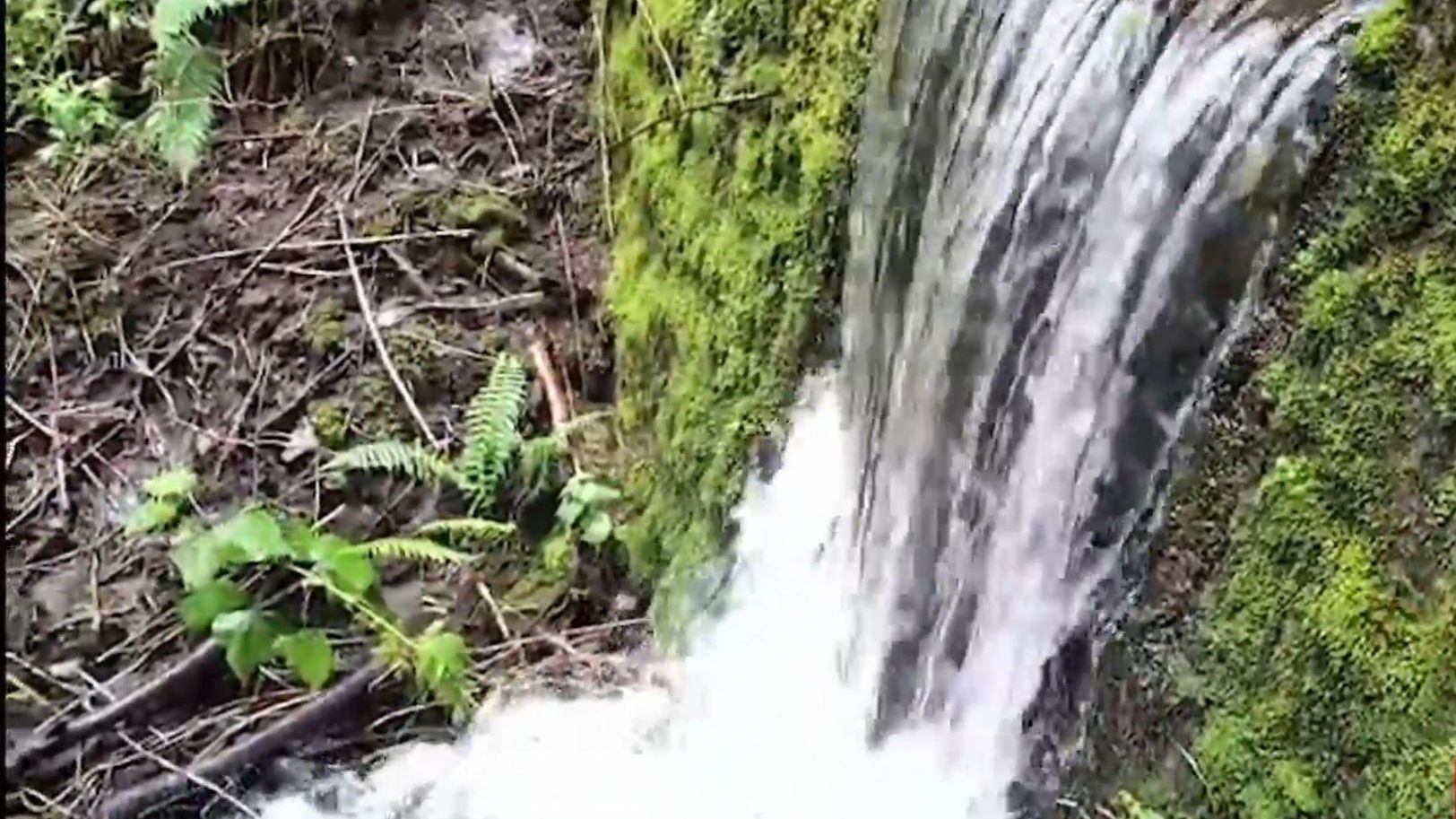 El manantial de Santa Rosa Xochiac, principal fuente de agua del pueblo