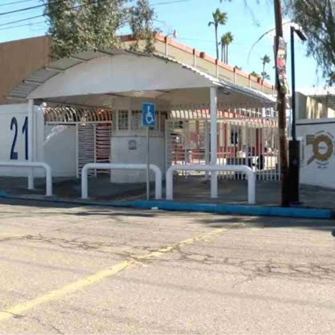 Suspenden clases en CBTIS 21 de Mexicali por presencia de garrapatas