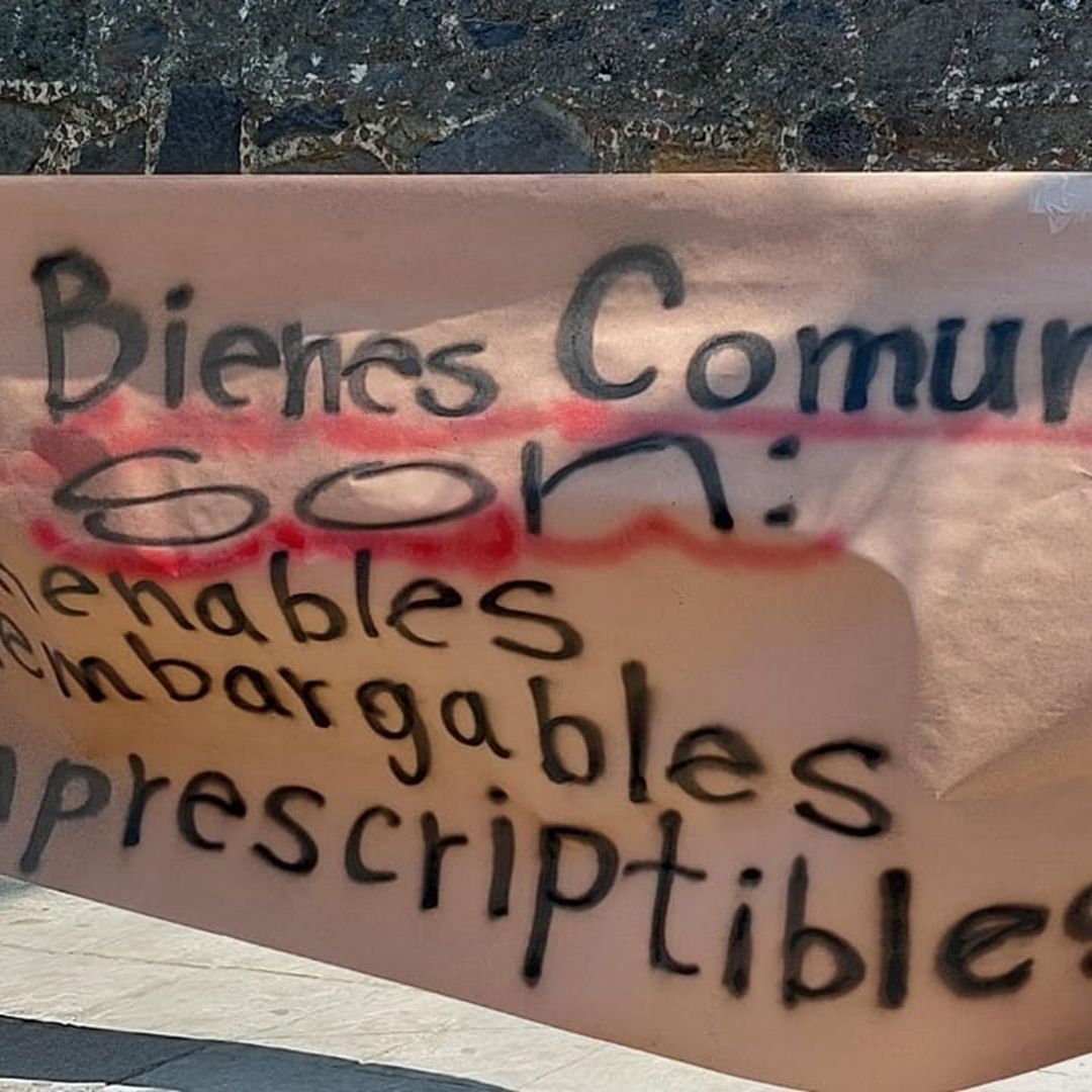 El bosque comunal de Milpa Alta alberga decenas de especies