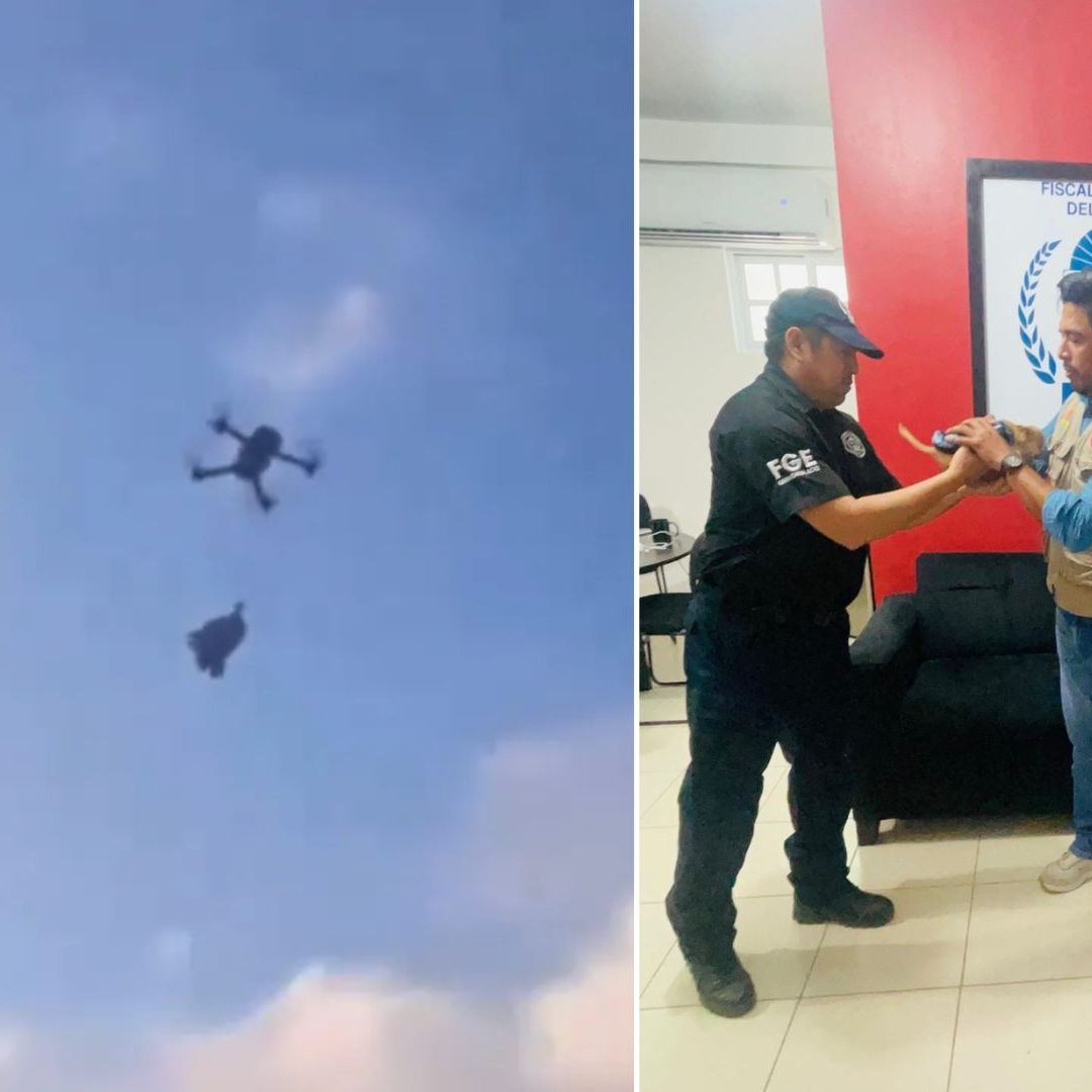 Investigan Caso Maltrato Animal de Perrito Amarrado y Volado con un Dron en Othón P. Blanco, Quintana Roo. Foto: X | virales_mex