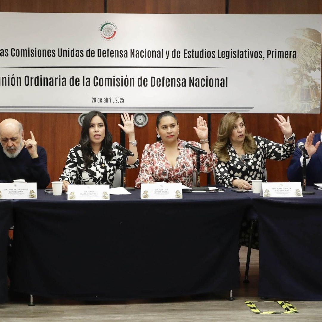 Senado Aprueba, en Comisiones, Reforma que Endurece Control de Armas de Fuego