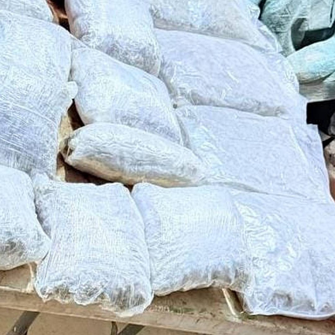 Droga decomisada durante cateo en CDMX