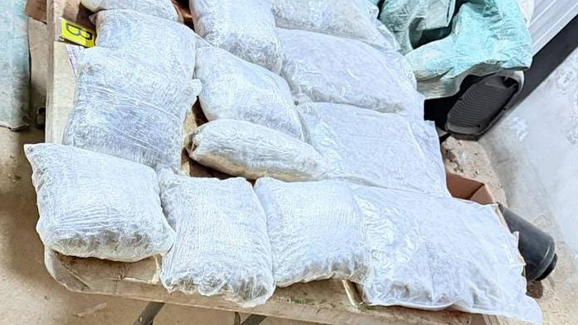 Droga decomisada durante cateo en CDMX