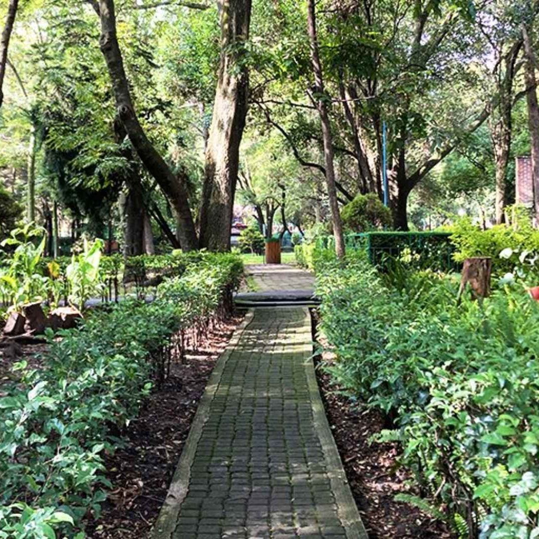 Visita un bosque o experimenta en el UNIVERSUM este primero de mayo en Ciudad de México