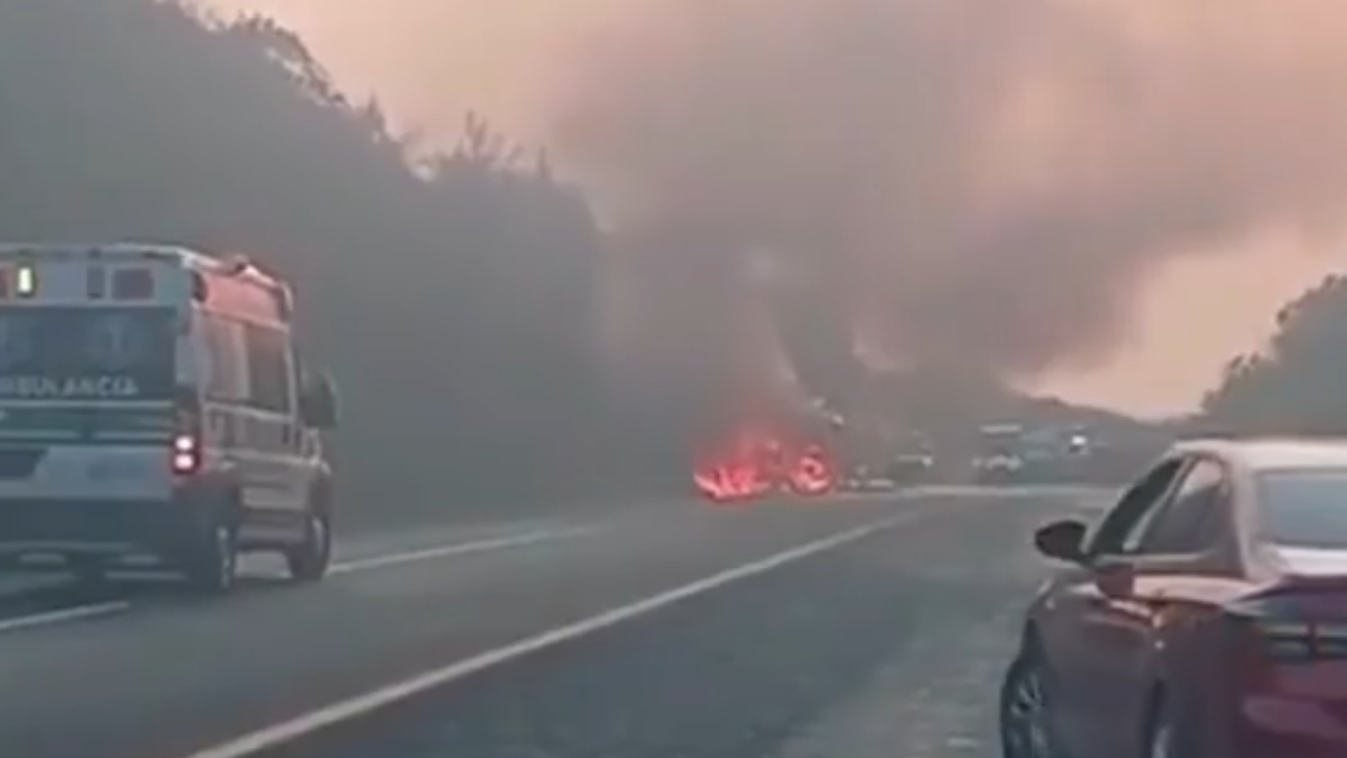 Muere Mujer Calcinada por Choque Frontal en la Autopista Siglo XXI en ...