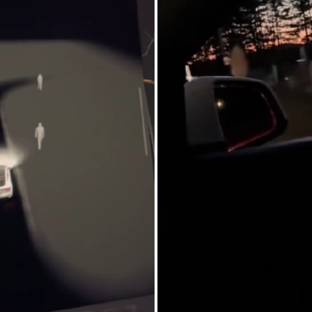 Hombre Conduce en un Panteón y Tesla Detecta Personas a su Alrededor | Video