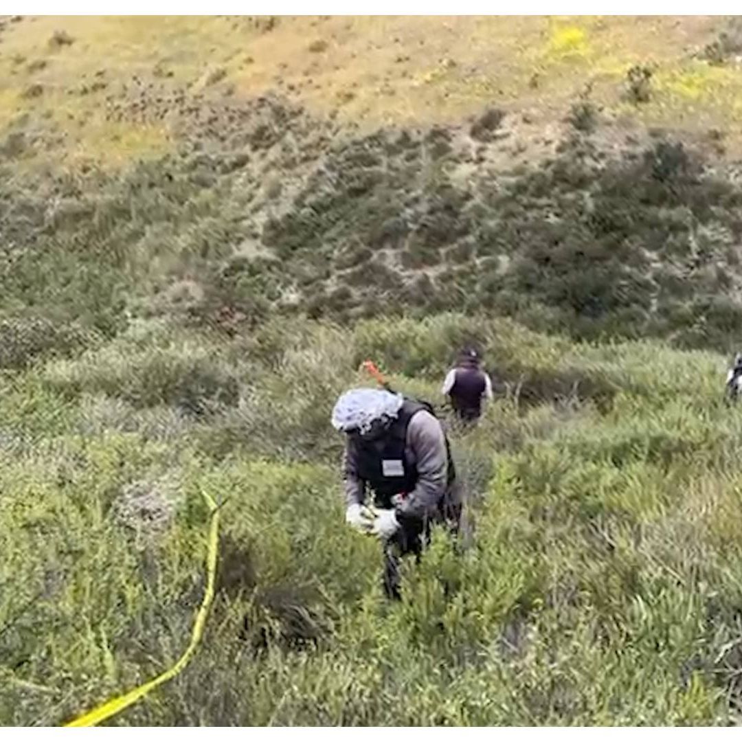 Sexta Jornada de Búsqueda en Baja California Localiza Presuntos Restos Humanos en Rosarito