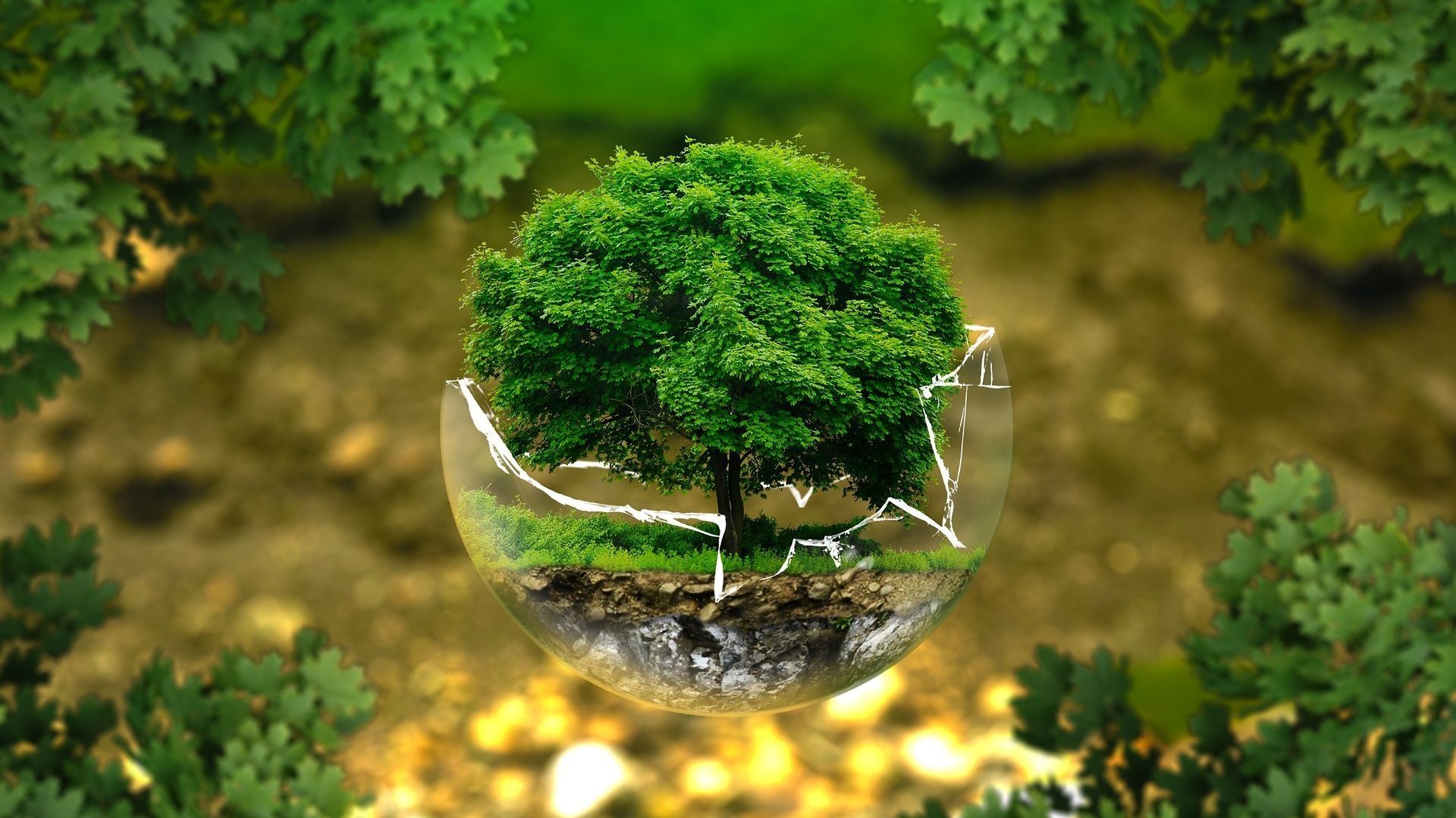 Conoce algunas de las actividades que puedes realizar en el Día Mundial de la Madre Tierra 2024