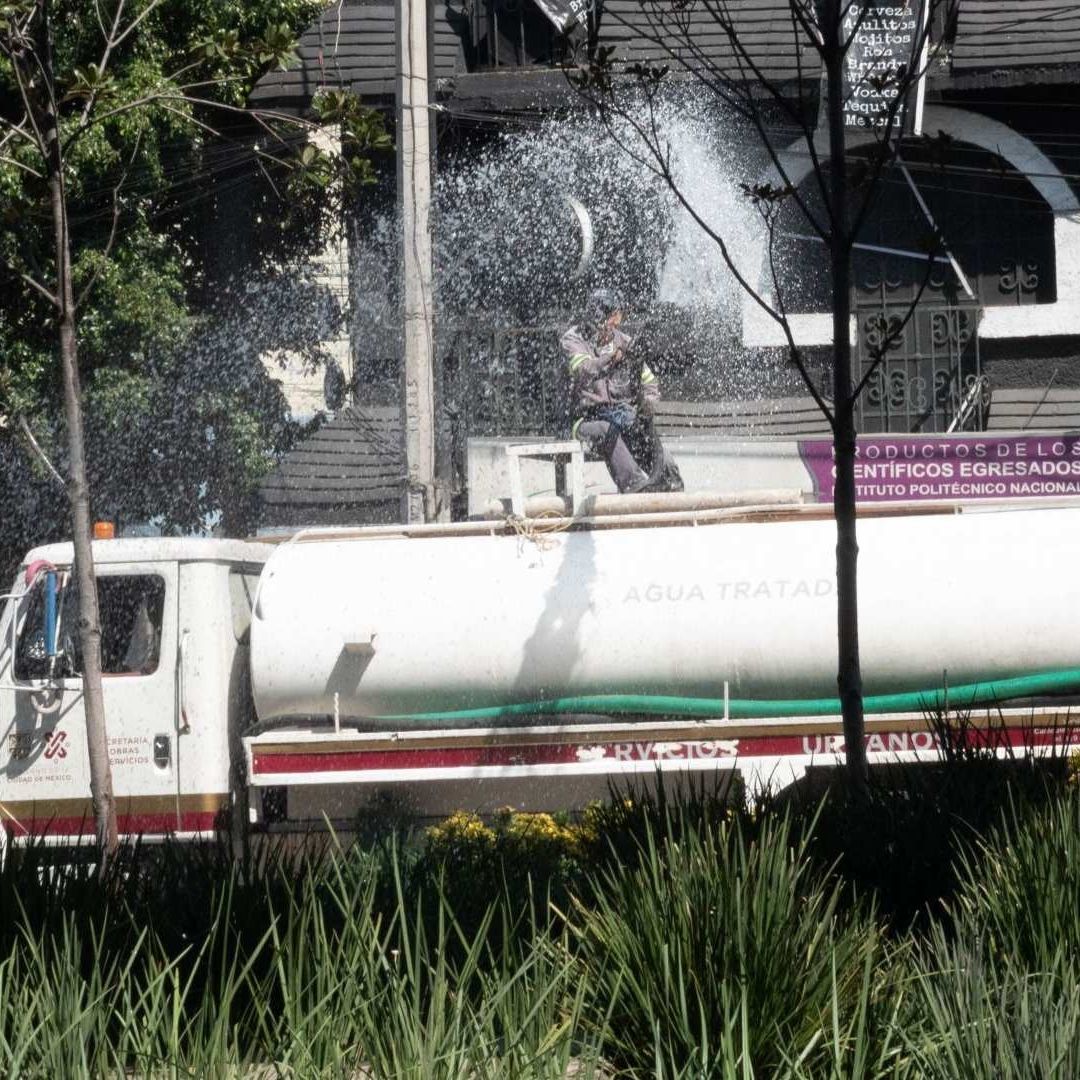 Áreas Verdes de la CDMX Se Deterioran ante el Intenso Calor y la Falta de Riego