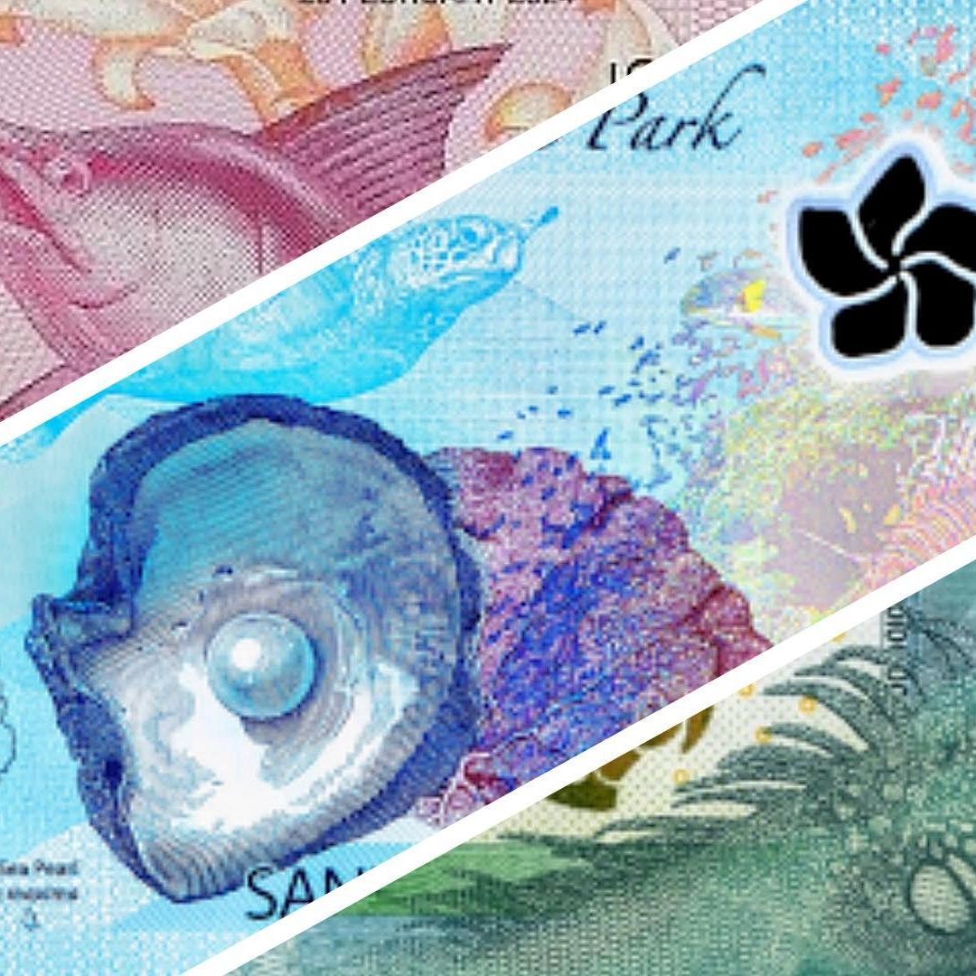 Cada año, la Sociedad Internacional de Billetes de Banco entrega el “Premio al Billete del Año"