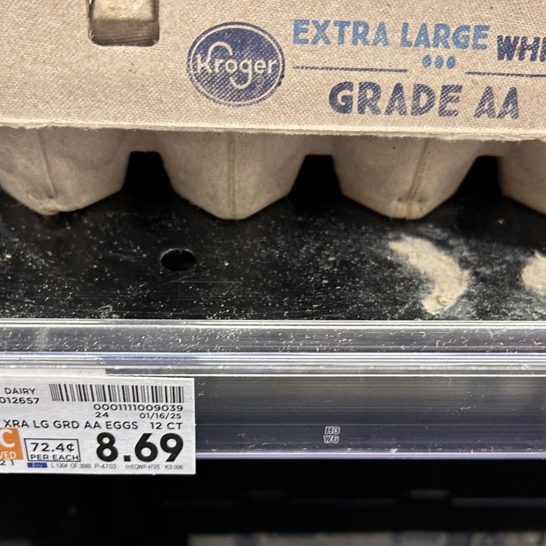 Alquilan gallinas en Estados Unidos por el elevado precio de los huevos en el país
