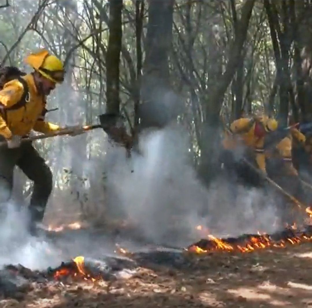 Combatientes forestales de Santa Rosa Xochiac realizan labores de vigilancia
