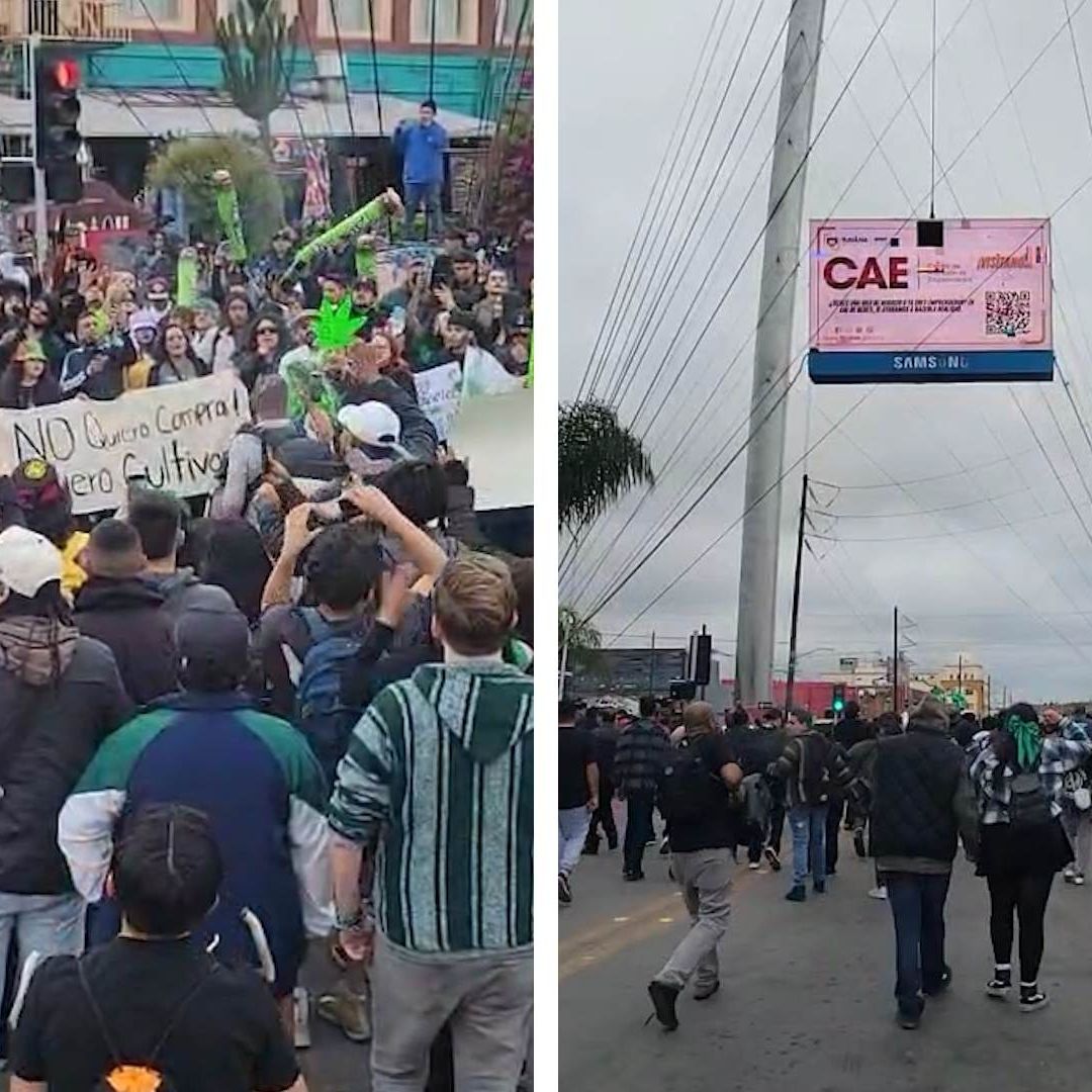 Tijuana se Suma a Marcha Mundial por la Regulación del Cannabis Medicinal y Recreativo