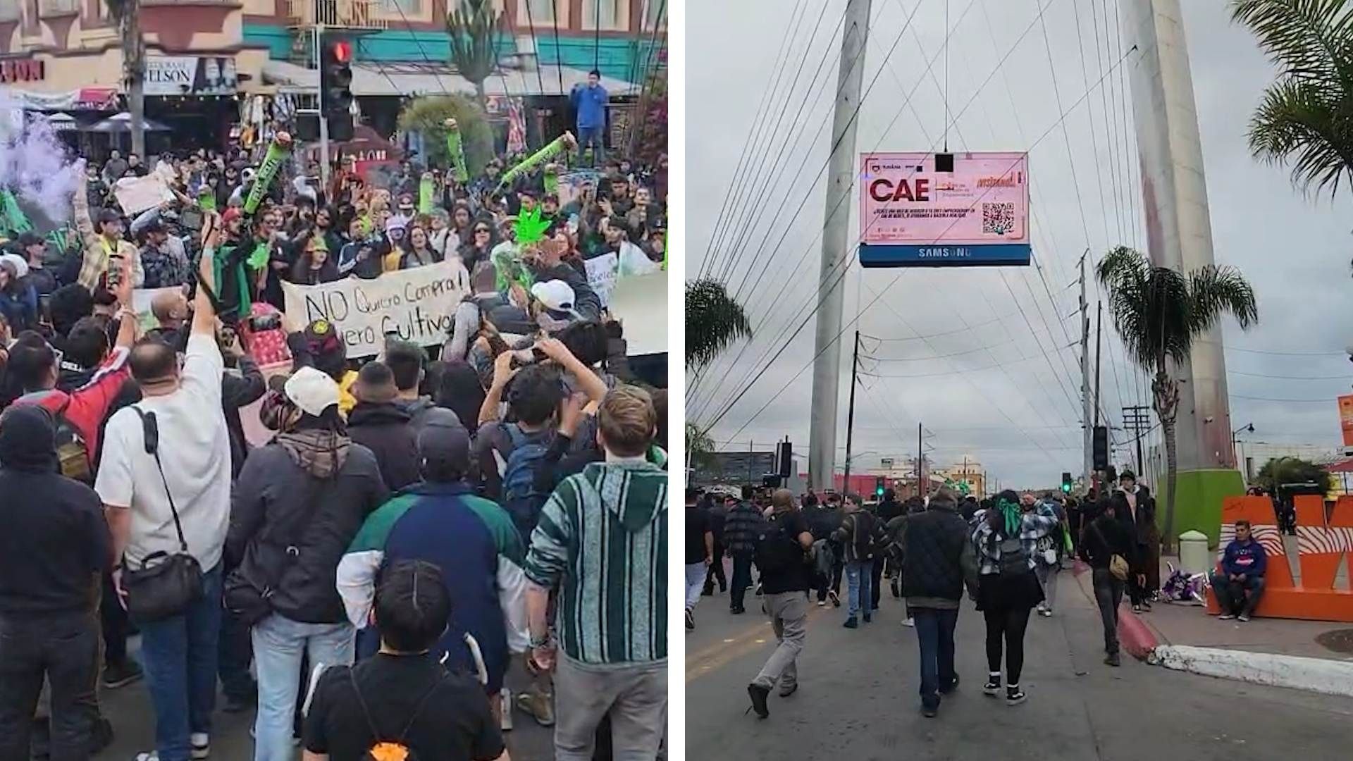 Tijuana se Suma a Marcha Mundial por la Regulación del Cannabis Medicinal y Recreativo