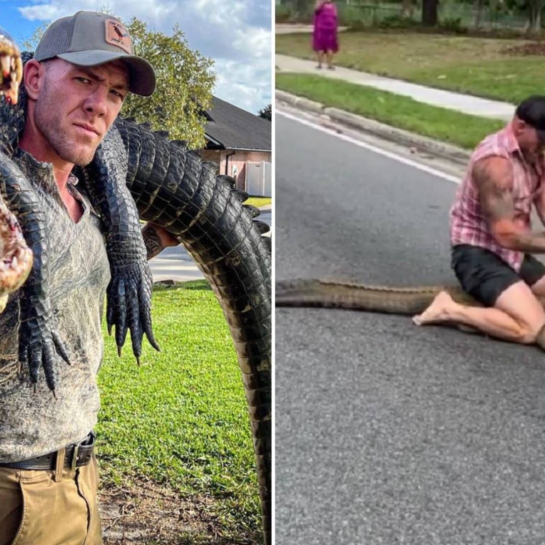 Mike Dragich, peleador de artes marciales mixtas, atrapó un caimán de más dos metros sin ayuda ni protección