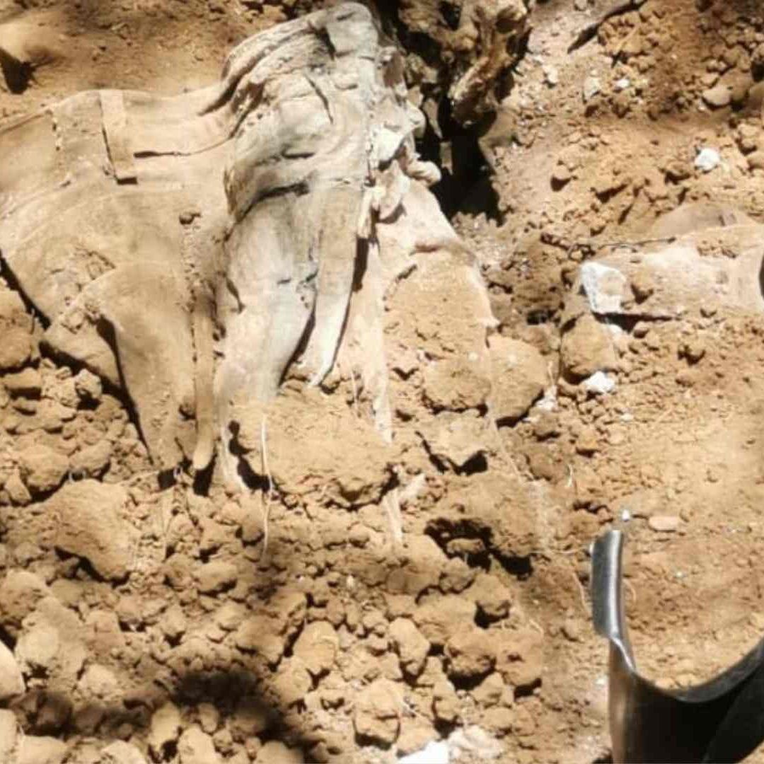 Localizan Restos Humanos en Sitios Cercanos a la Carretera Hermosillo-Bahía de Kino en Sonora