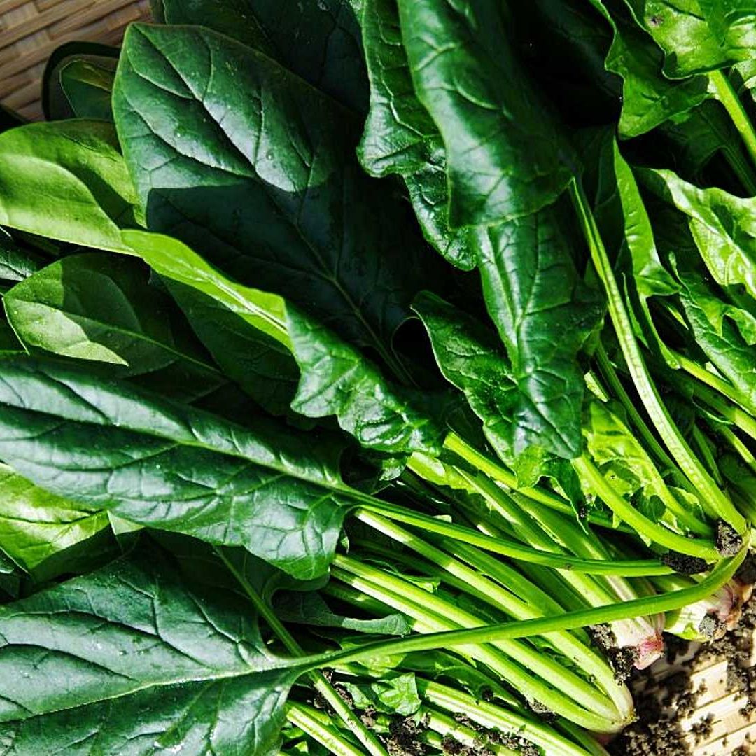 Hay varias verduras y hortalizas que se pueden plantar en casa y crecen muy rápido