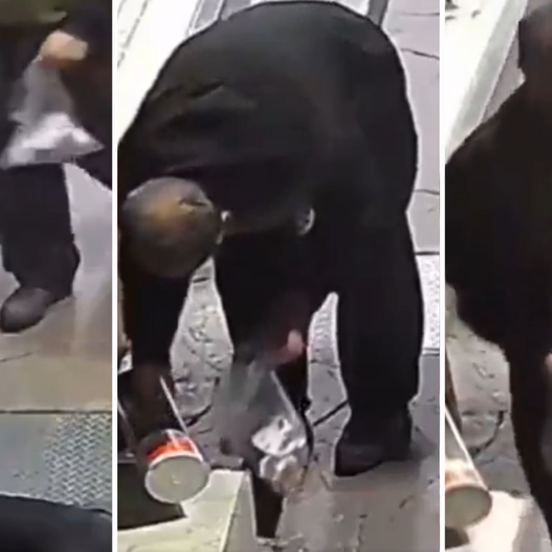 Video | ¡Con los Perritos No! Captan a Ladrón de Croquetas en Texcoco, Estado de México