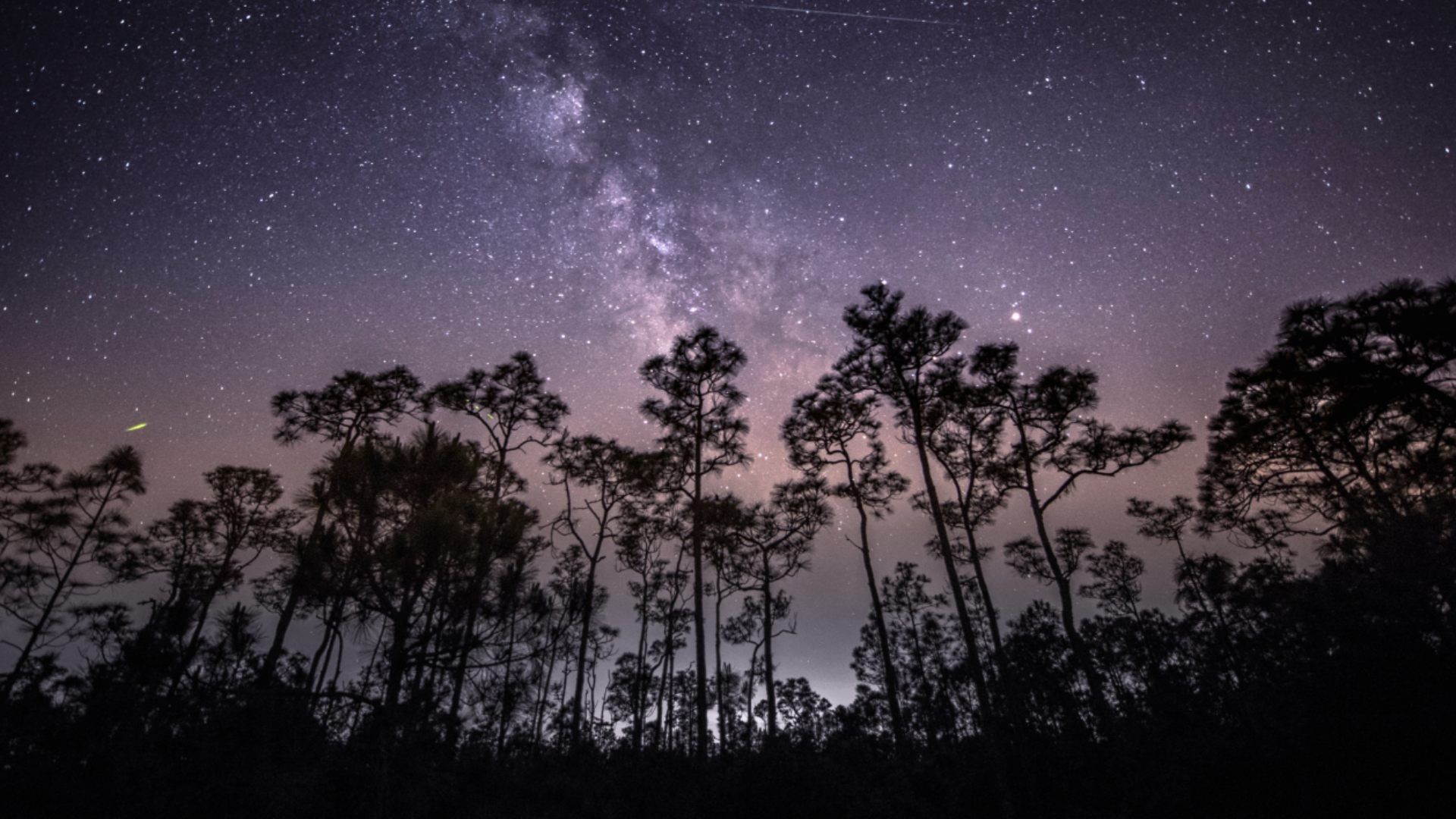 ¿A Qué Hora Ver la Lluvia de Estrellas Eta Acuáridas en México Hoy 5 de Mayo?