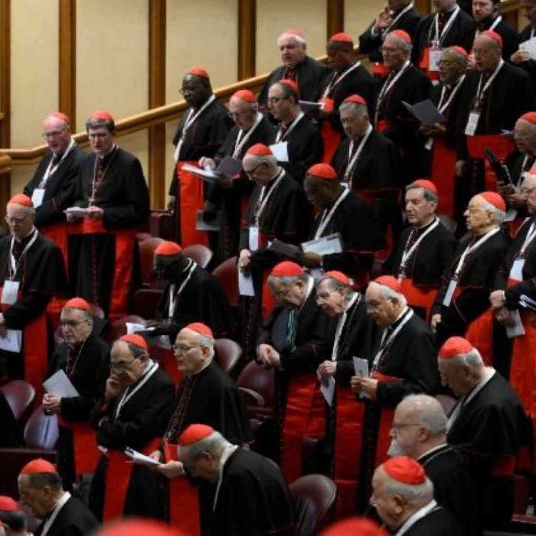 ¿Quiénes Son los Cardenales que Elegirán al Nuevo Papa?