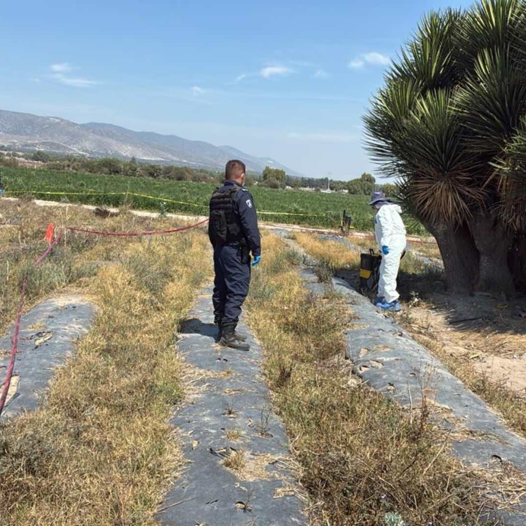 Localizan Fosa Clandestina con Restos Óseos en Rancho de Puebla; Madres Buscadoras Piden Ayuda