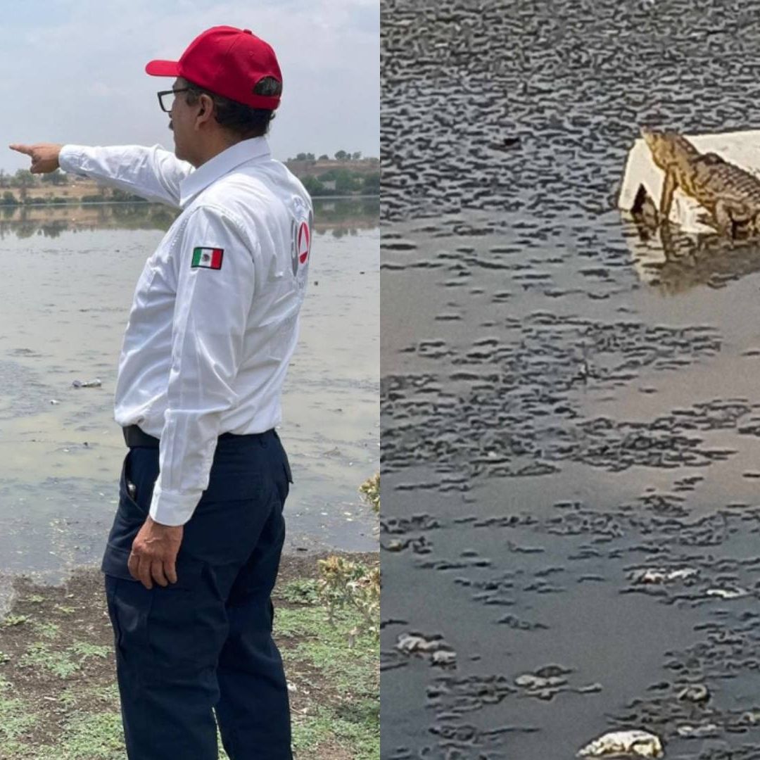 Realizan operativo de seguridad en la Laguna de la Piedad de Cuautitlán Izcalli por el avistamiento de un cocodrilo