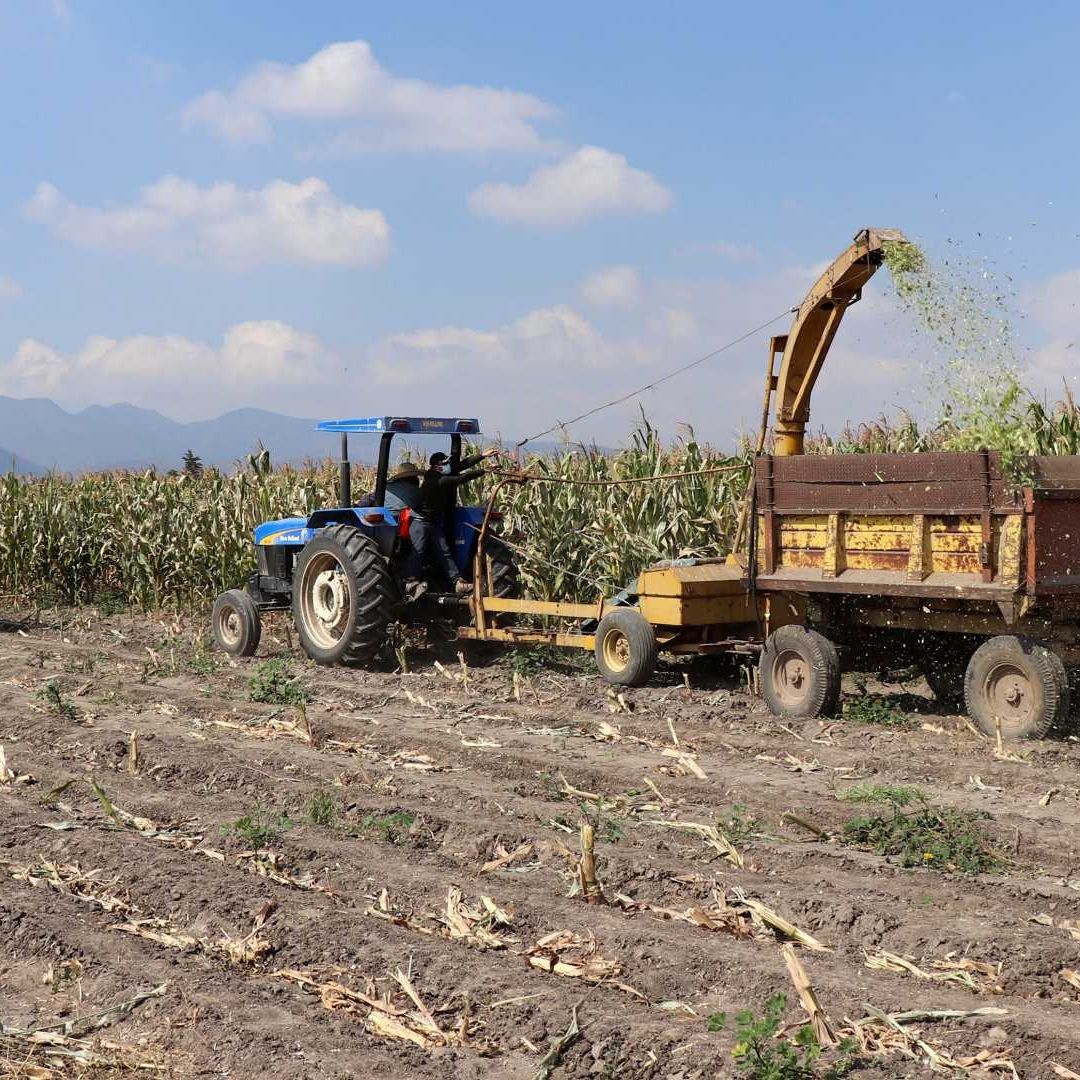 El cambio climático ha profundizado los problemas de la agricultura a nivel mundial, en especial la inseguridad alimentaria en los países de menor desarrollo