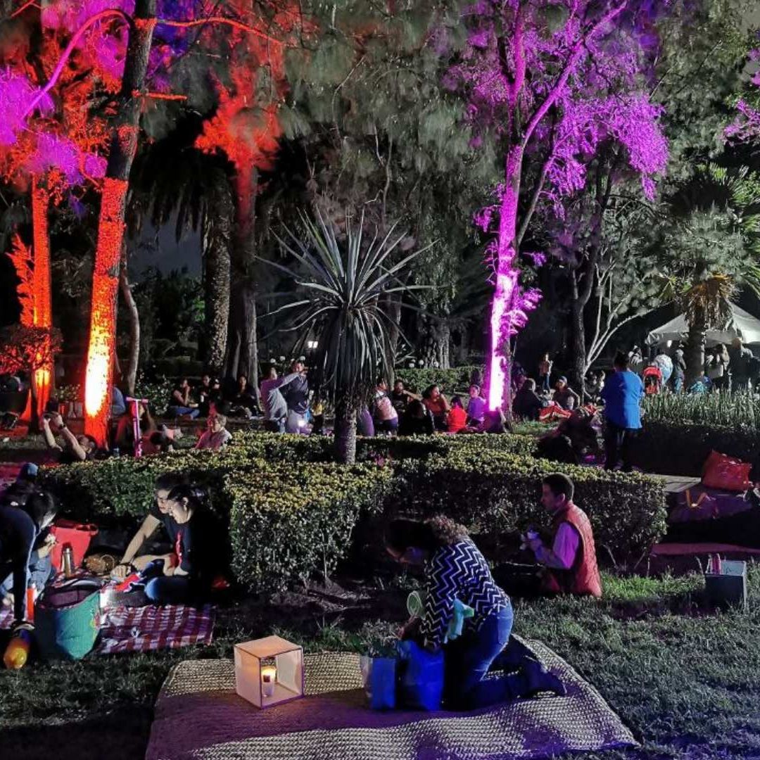 Picnic Nocturno por el Día de las Madres 2025 en CDMX: ¿Cuándo y Dónde Será?