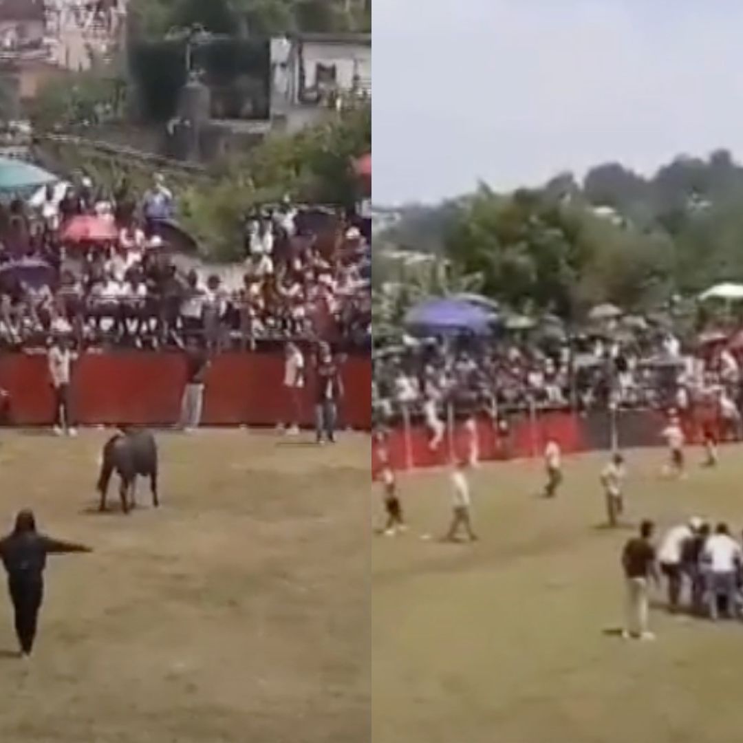 Toro embiste a mujer en Xico, Veracruz