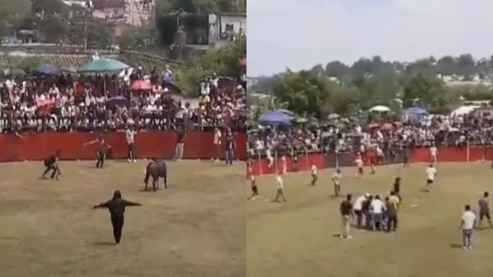 Toro embiste a mujer en Xico, Veracruz