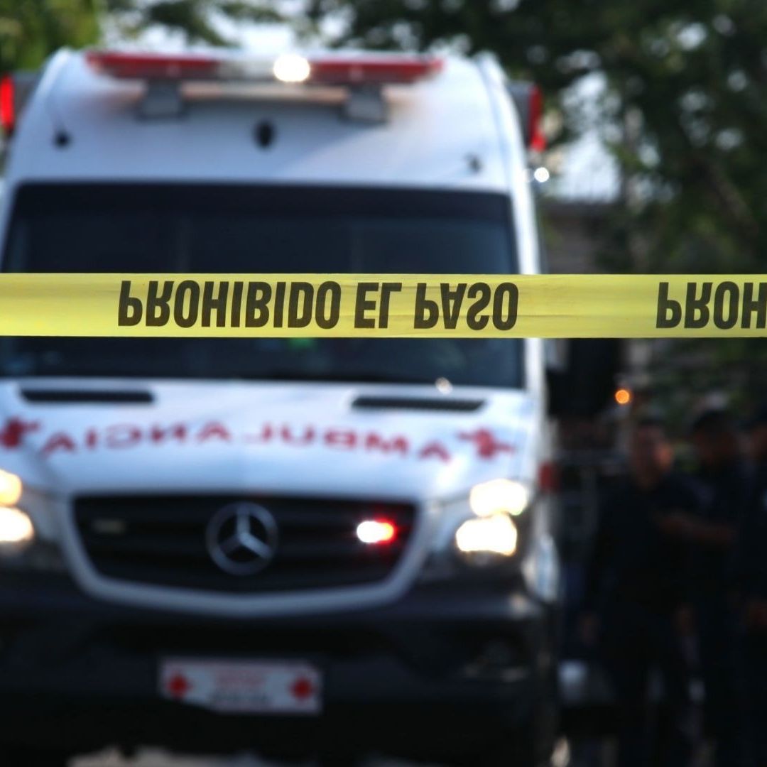 Perro Encuentra Cuerpo Desmembrado y Lleva Pierna a su Casa