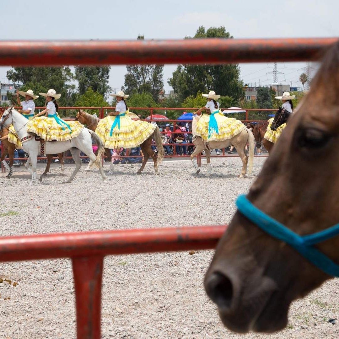 Menor Muere al Caerle Encima un Caballo Bailador en Michoacán; Esto Pasó